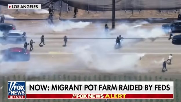 Ice protesters at pot farm during raid